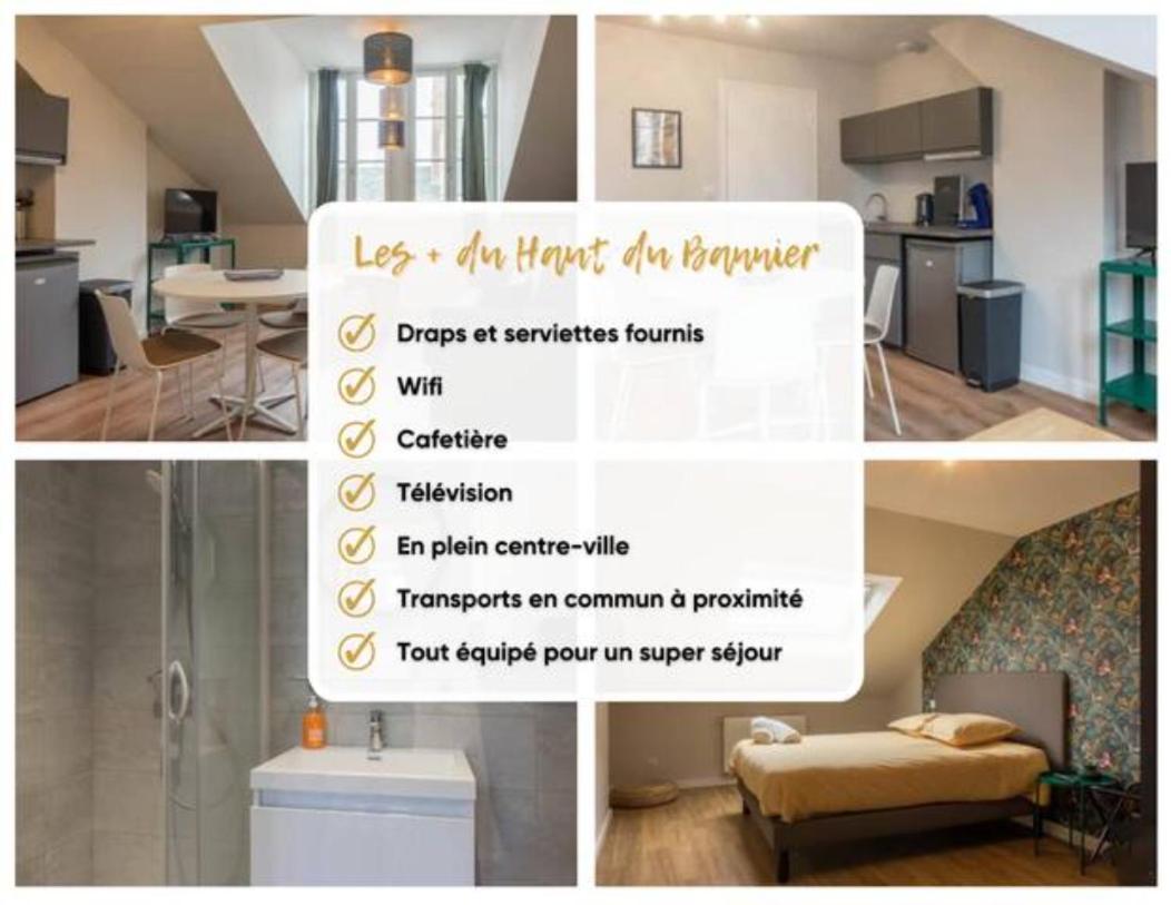 Le Haut Du Bannier * T2 * Hyper Centre * Wifi * Apartman Orléans Kültér fotó